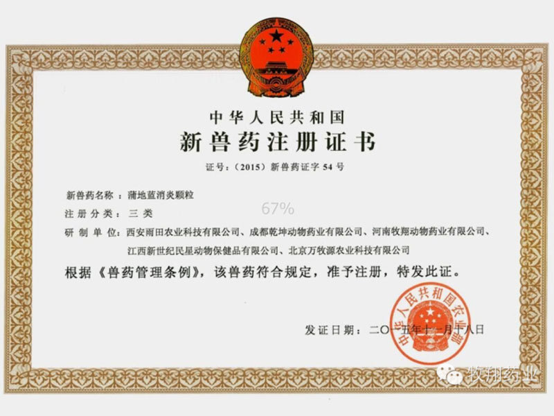 蒲地藍消炎顆粒 蒲地藍消炎顆粒