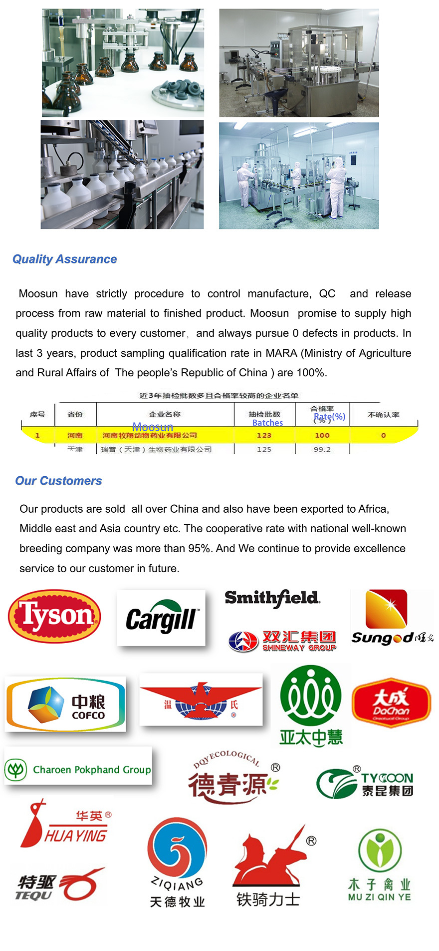 Company Profile